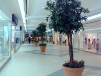 /album/city-center/dscf0667-jpg/